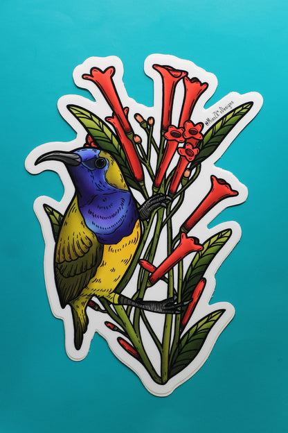 Assorted Vinyl Stickers