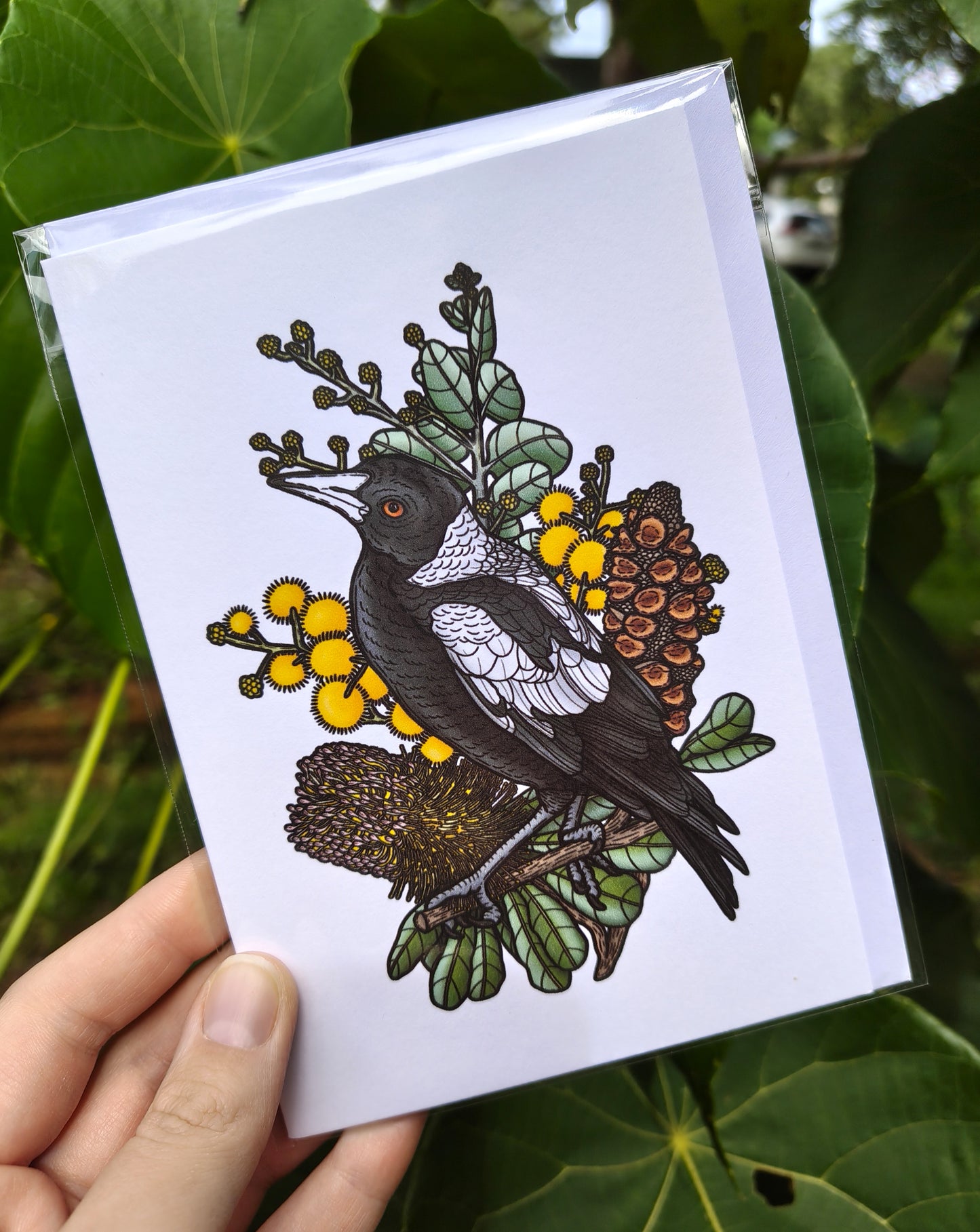 Cards