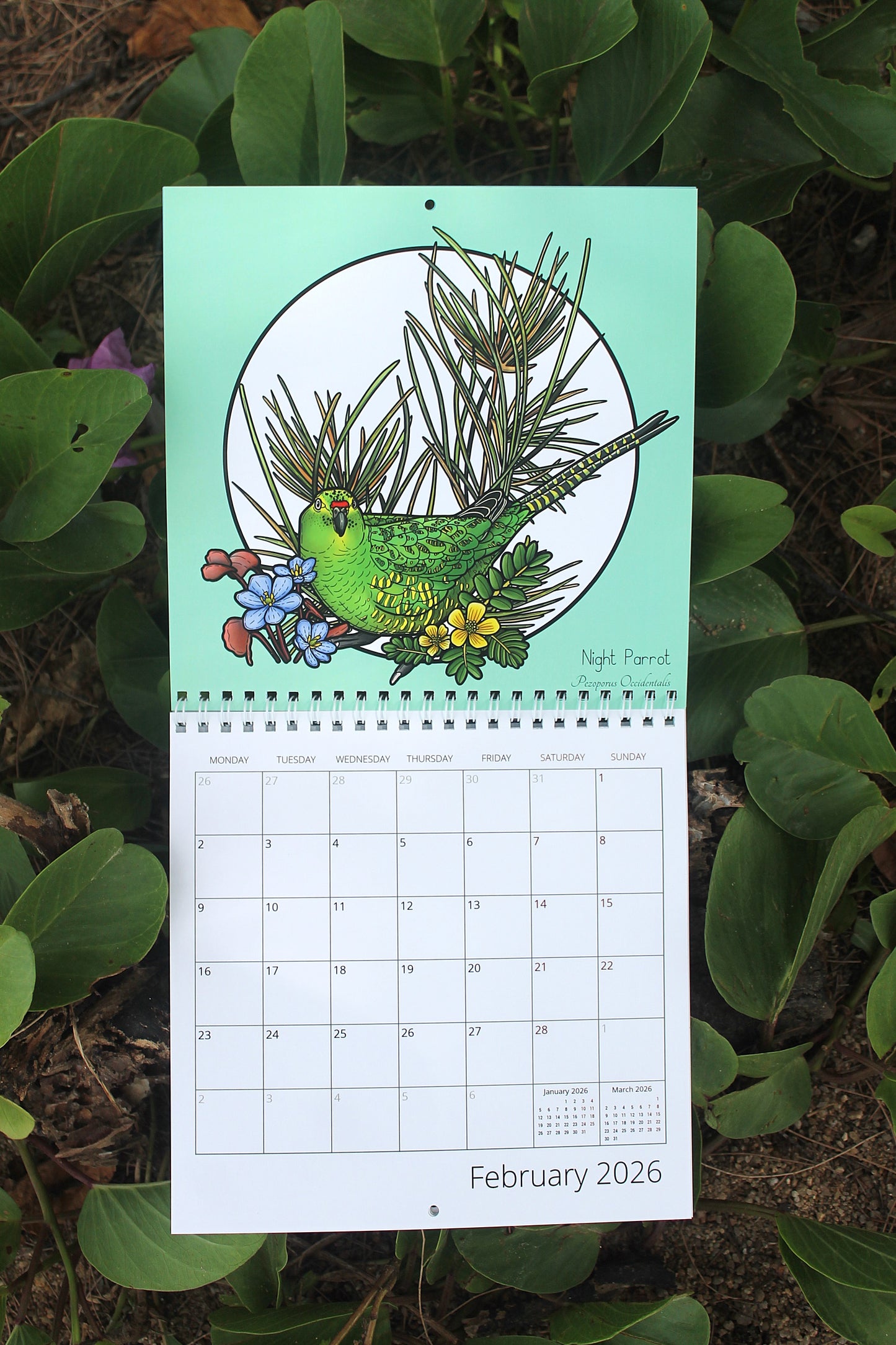 2026 Echoes Of The Outback Calendar