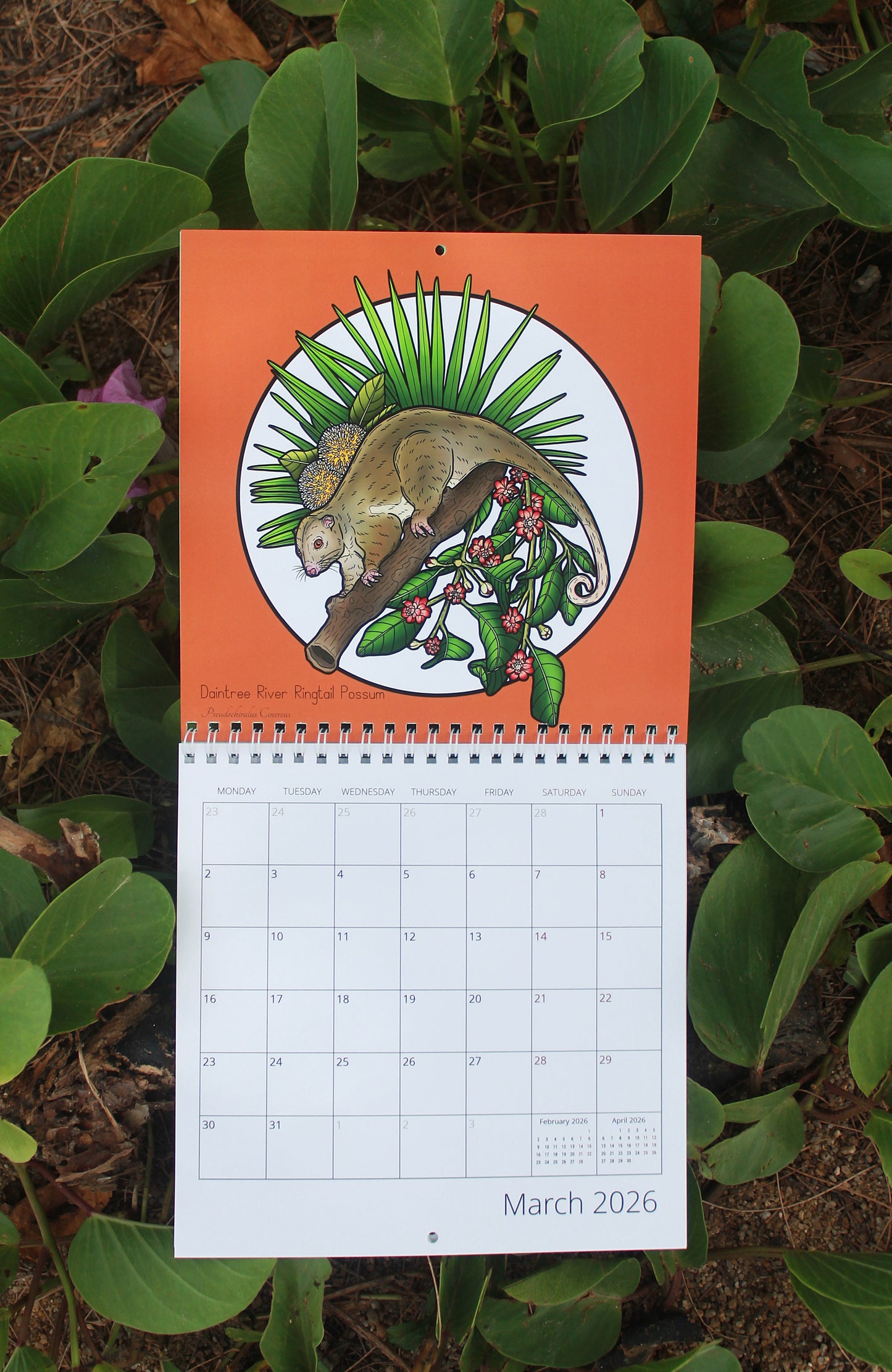 2026 Echoes Of The Outback Calendar