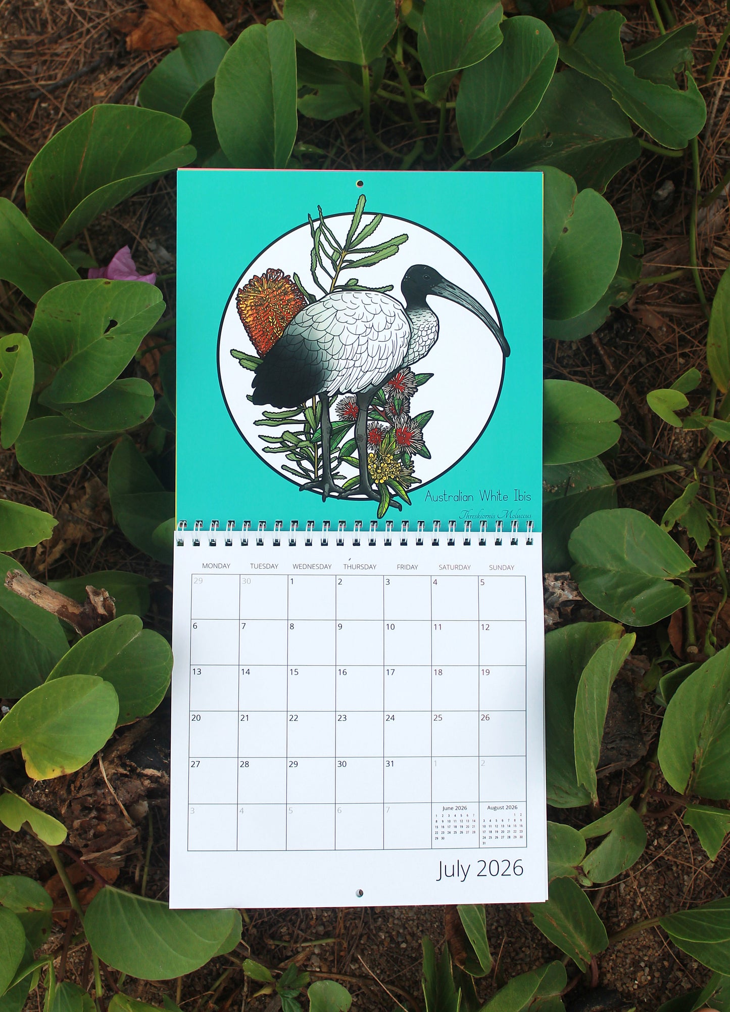 2026 Echoes Of The Outback Calendar