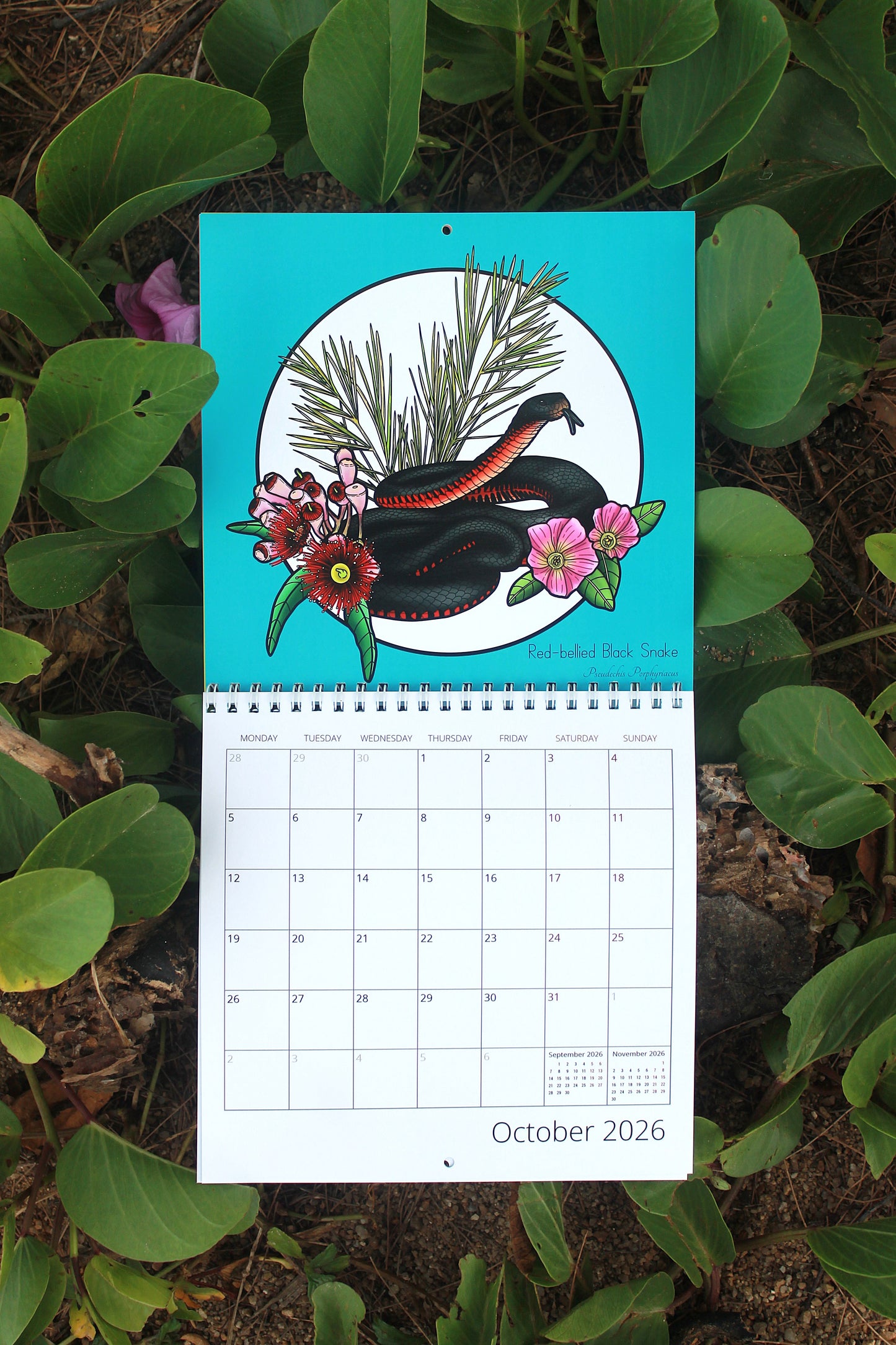 2026 Echoes Of The Outback Calendar