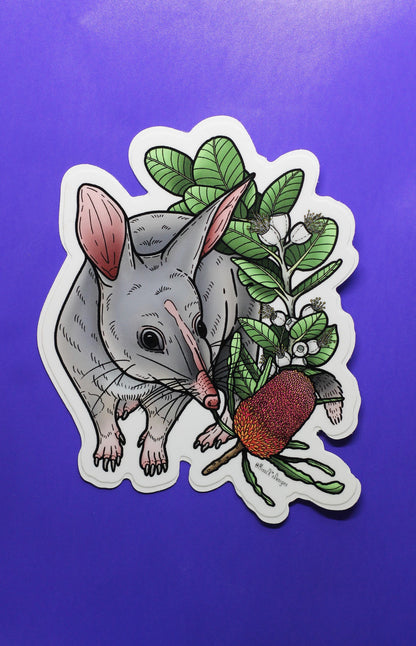 Assorted Vinyl Stickers